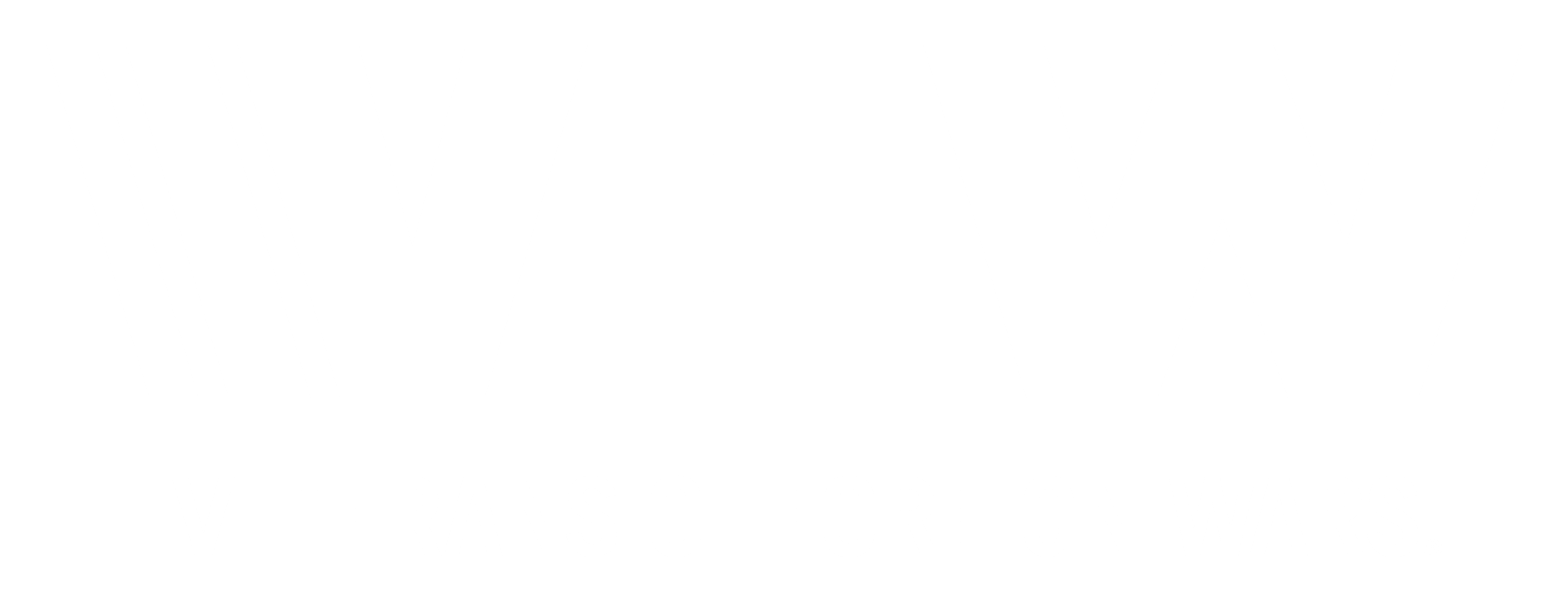 VFW Logo